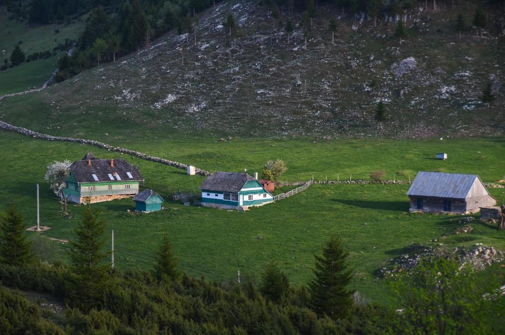 Cheile Gradistei Fundata Resort&Spa Exterior foto